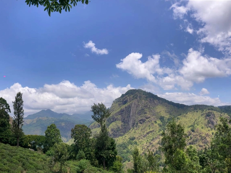 Sri Lanka Winter Highlights – 8 Days